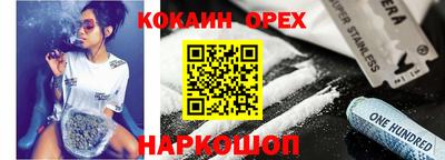 мдпв Кингисепп