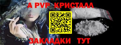 мдпв Кингисепп