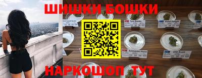 мдпв Кингисепп