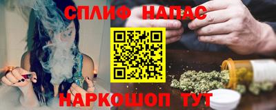 мдпв Кингисепп
