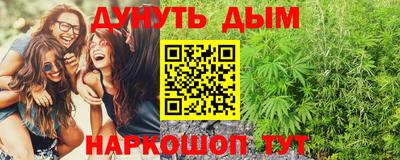 мдпв Кингисепп