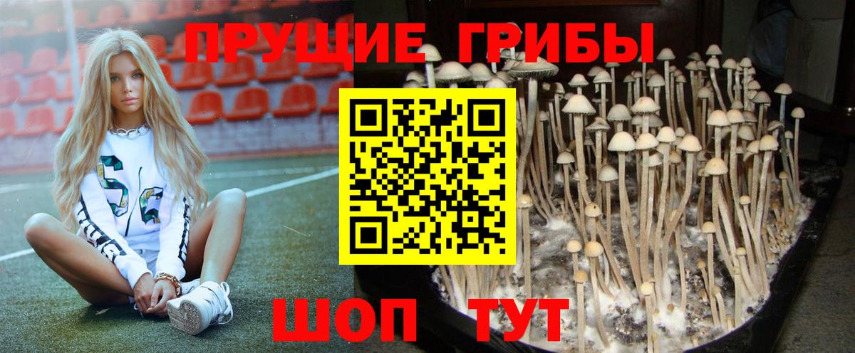 Галлюциногенные грибы Psilocybine cubensis  Вход с VPN  Галлюциногенные грибы ЛСД  Котлас 